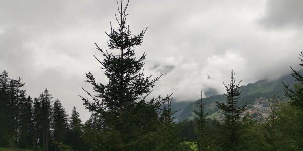 00001355-PHOTO-2020-09-06-14-46-30